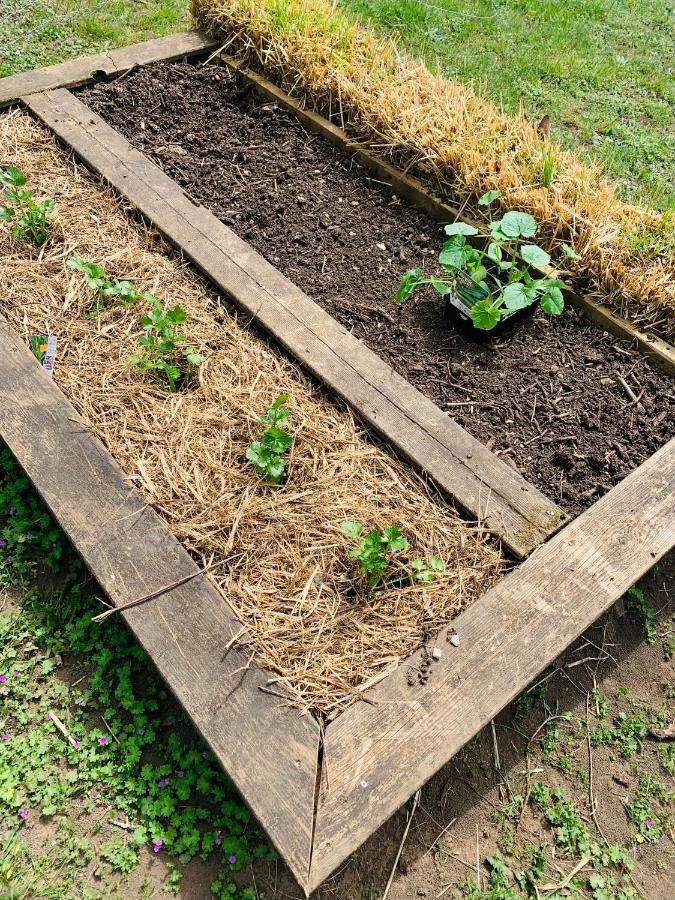 L'Ecrin Des Symes Villa Simeyrols Ngoại thất bức ảnh